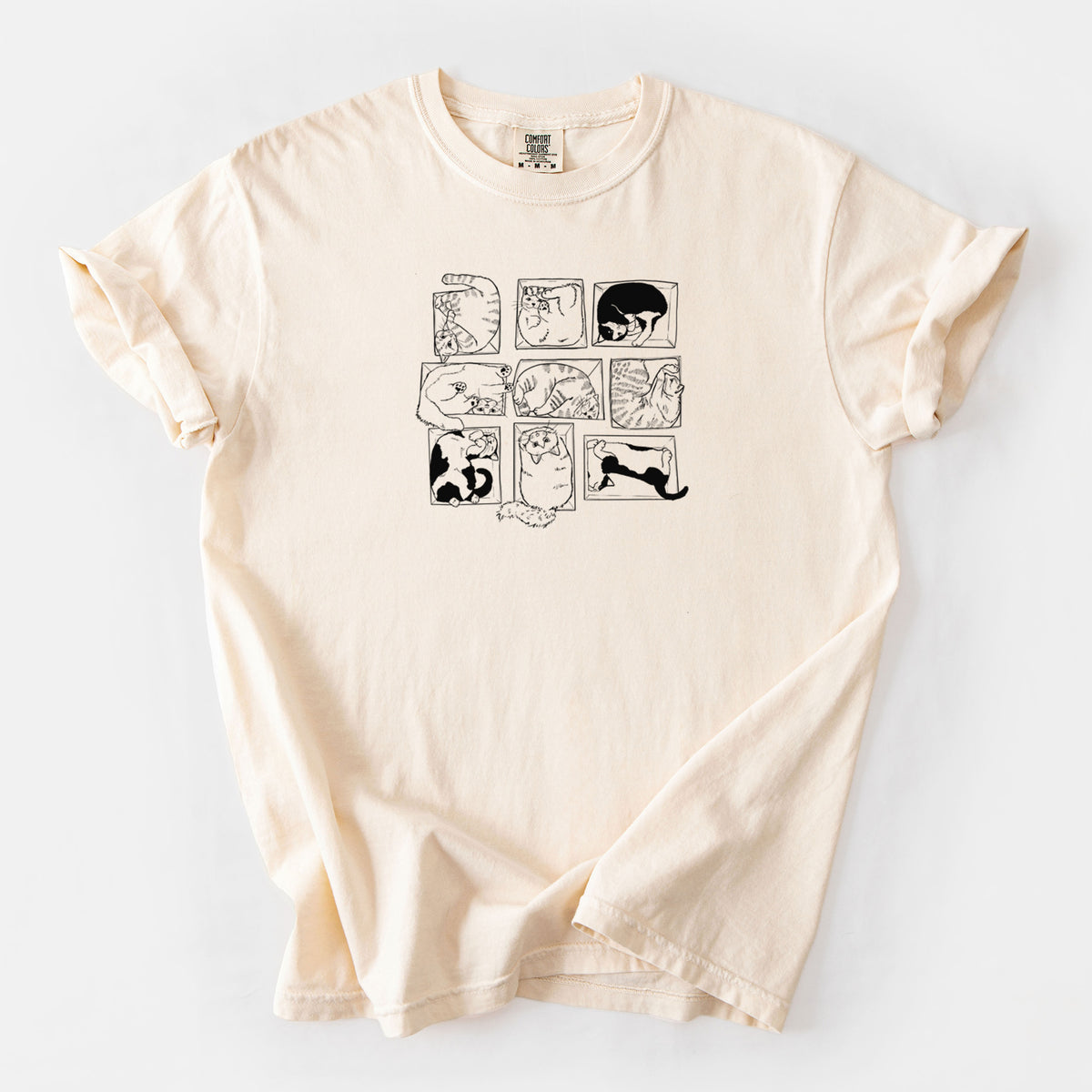 Cats in Boxes - Unisex Comfort Colors Garment-Dyed Heavyweight T-shirt in Ivory