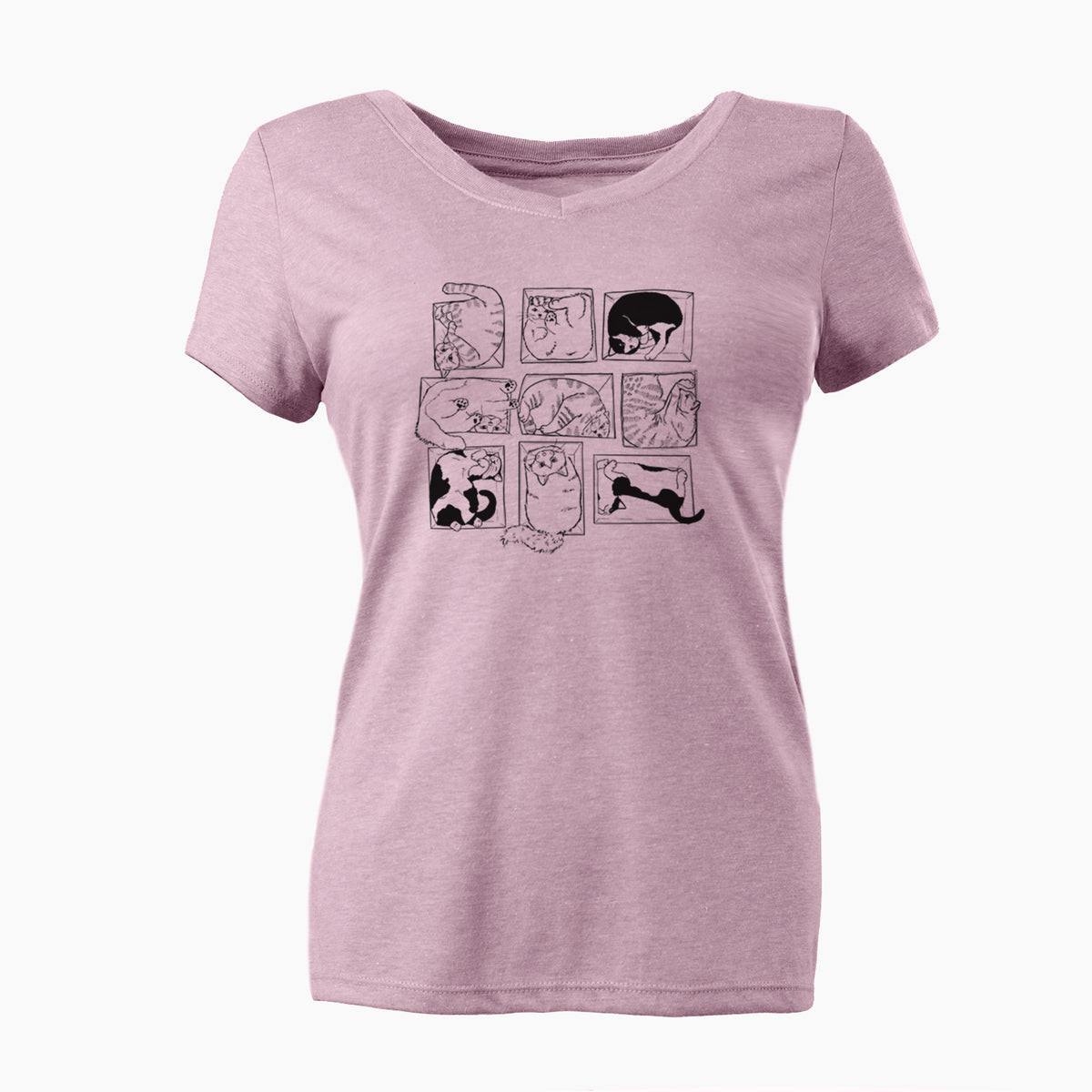 Cats in Boxes - Women's Perfect V-neck Shirt