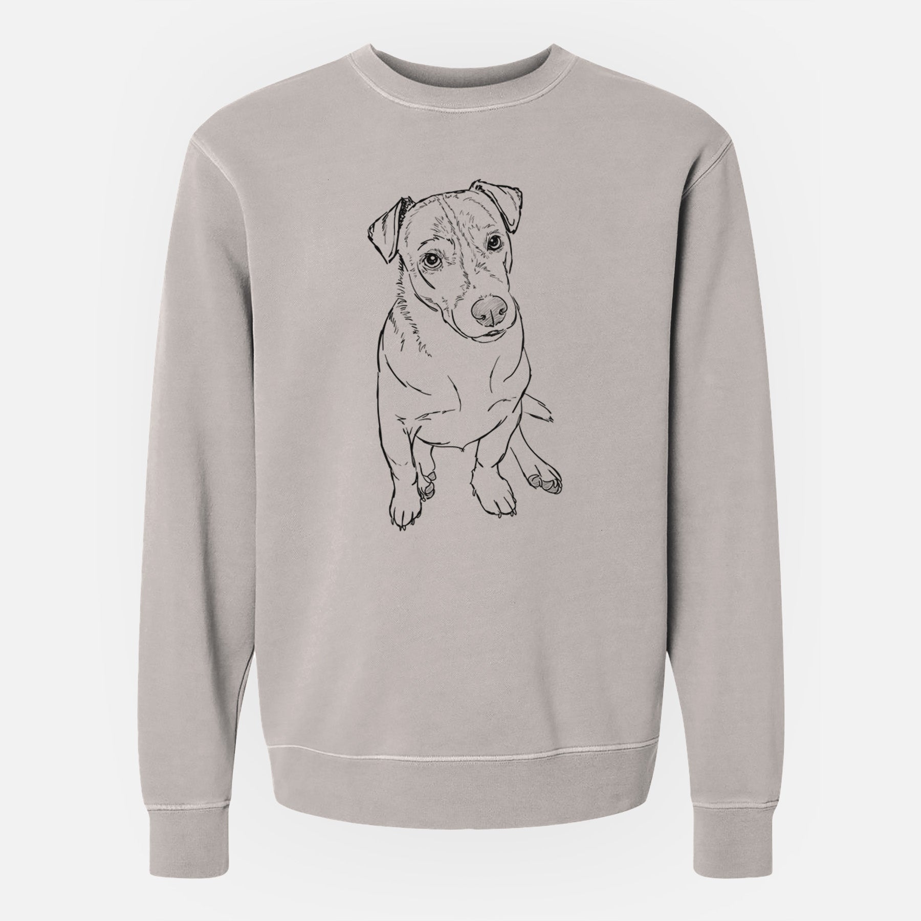 Doodled Buttercup the Mixed Breed - Unisex Pigment Dyed Crew Sweatshirt