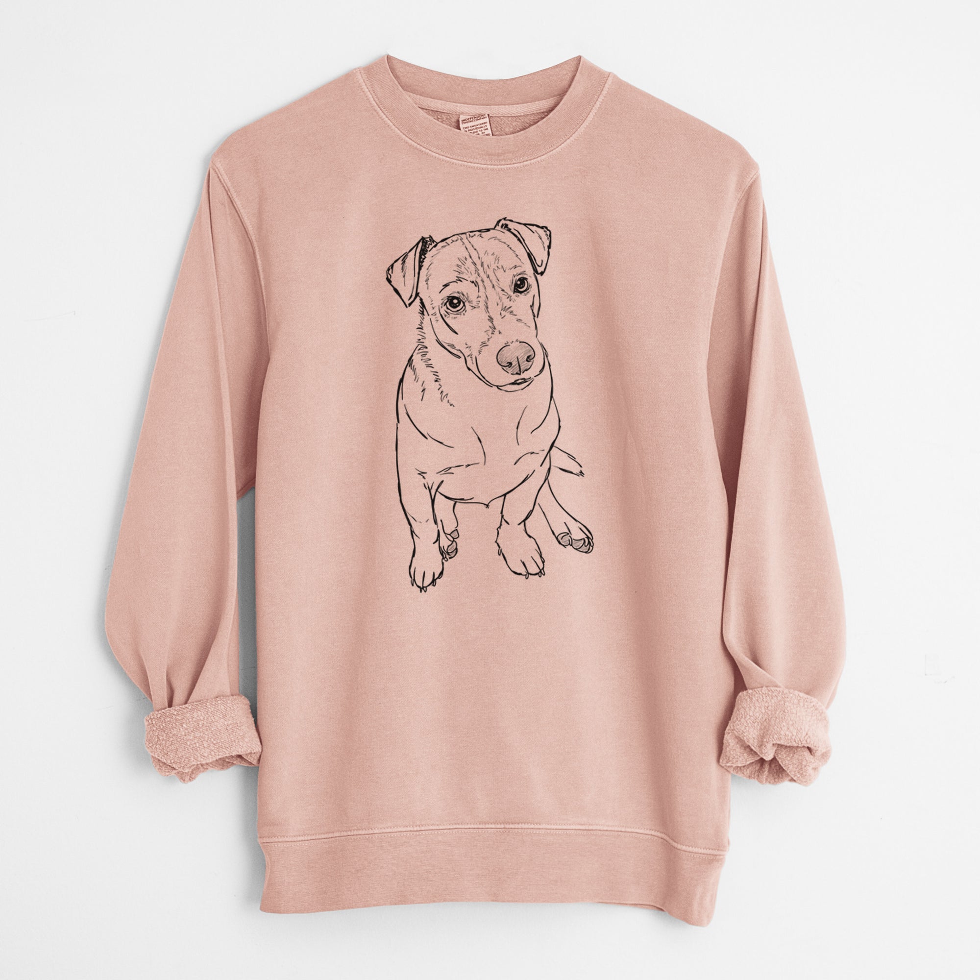 Doodled Buttercup the Mixed Breed - Unisex Pigment Dyed Crew Sweatshirt