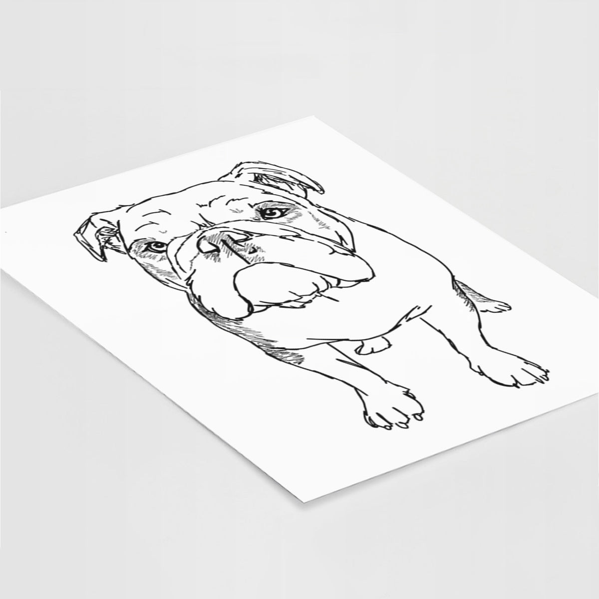 Doodled Henry the English Bulldog Art Print