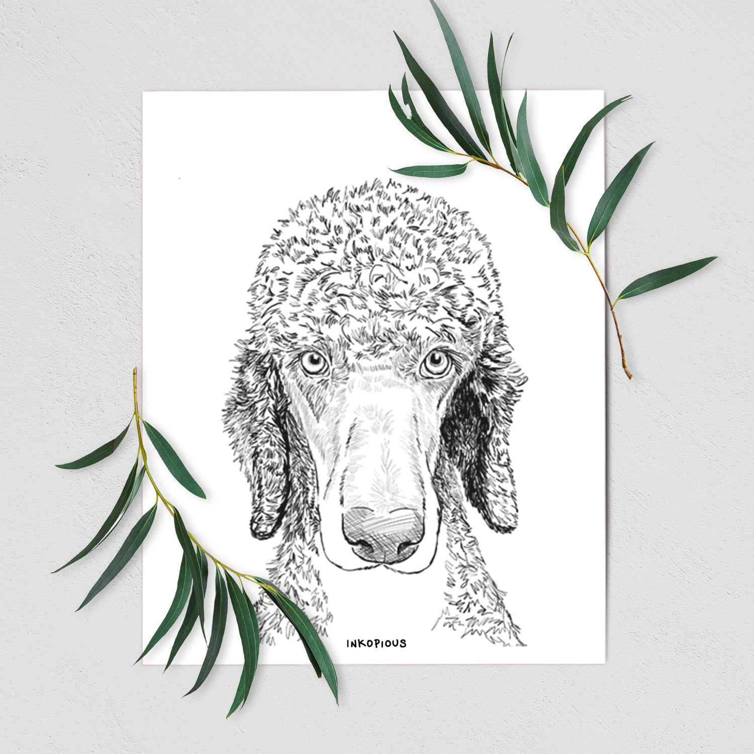 Doodled Kona the Poodle Art Print