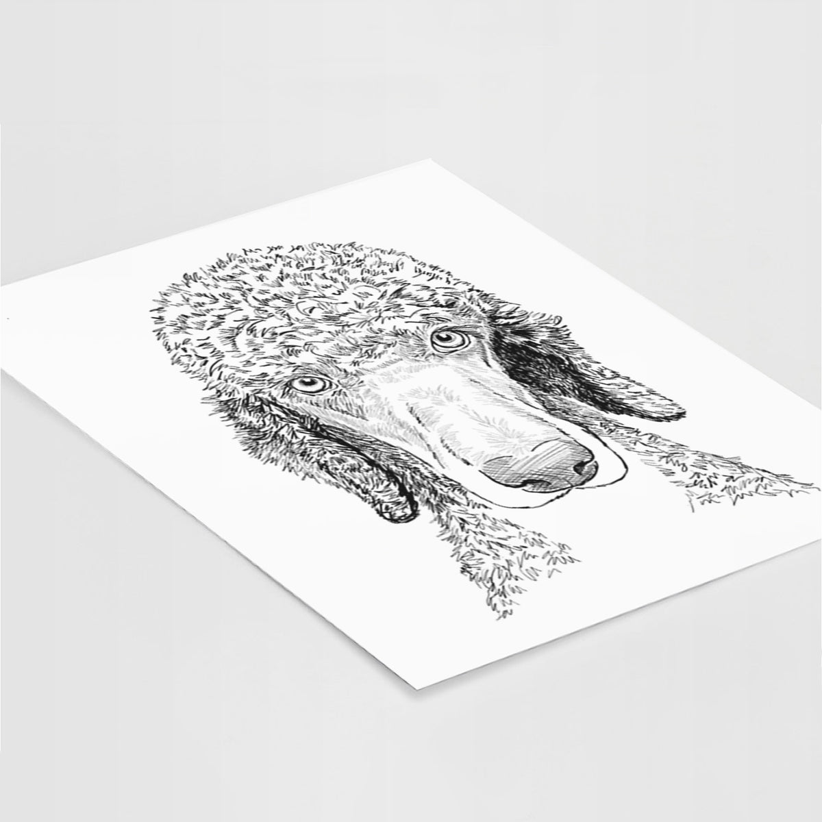 Doodled Kona the Poodle Art Print