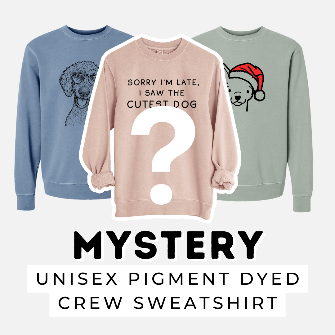 Dog — Sweatshirt Mystery Grab Bag