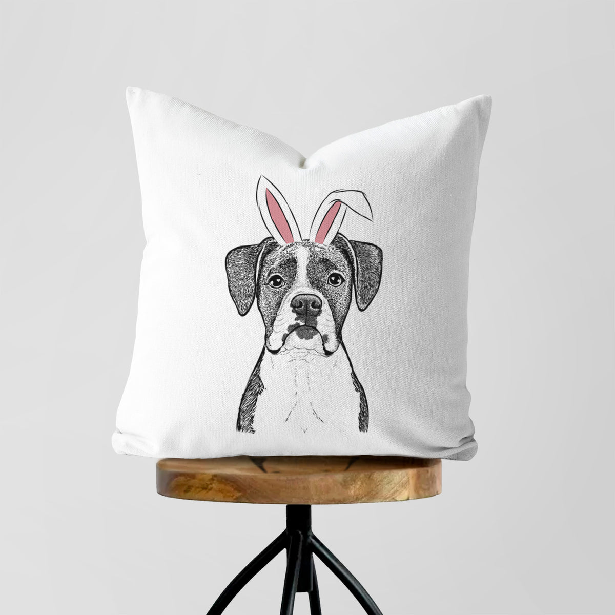 Annie the Boxer - Throw Pillow Cover