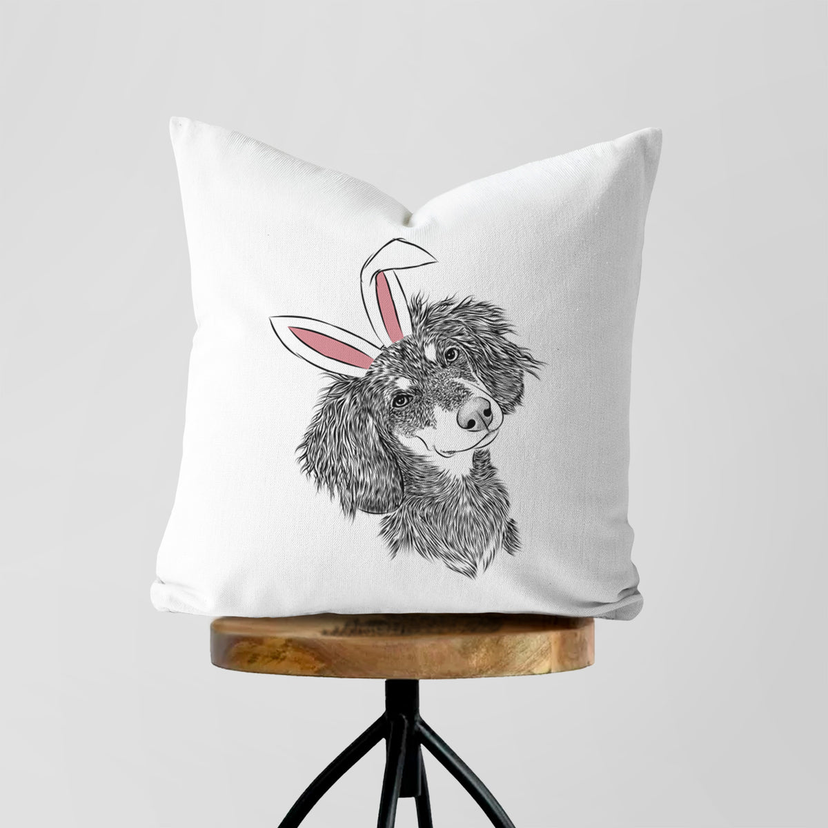 Bailey the Long Haired Dachshund - Throw Pillow Cover