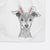 Bebe the Chihuahua Decorative Hand Towel