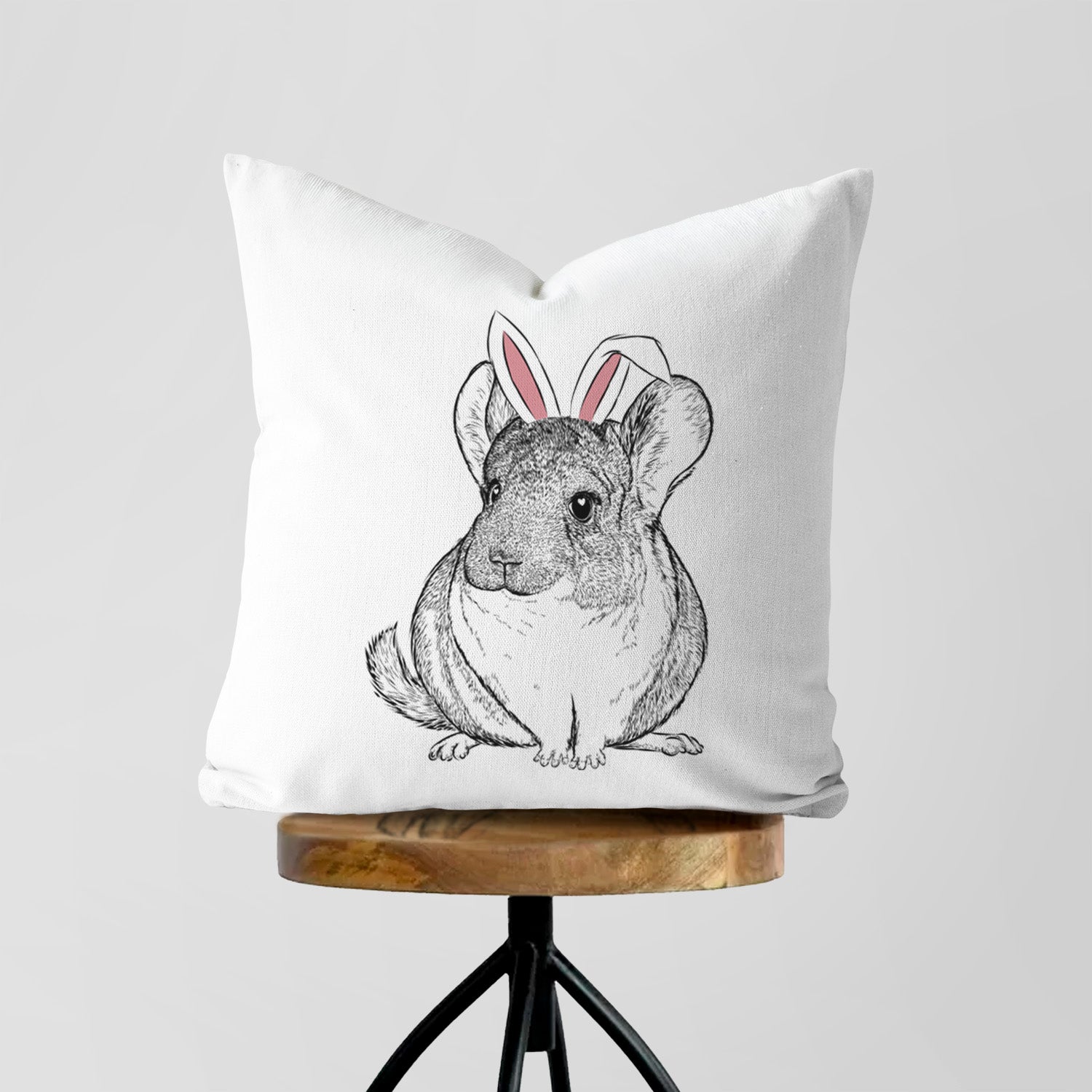 Cheddar the Chinchilla - Throw Pillow Cover