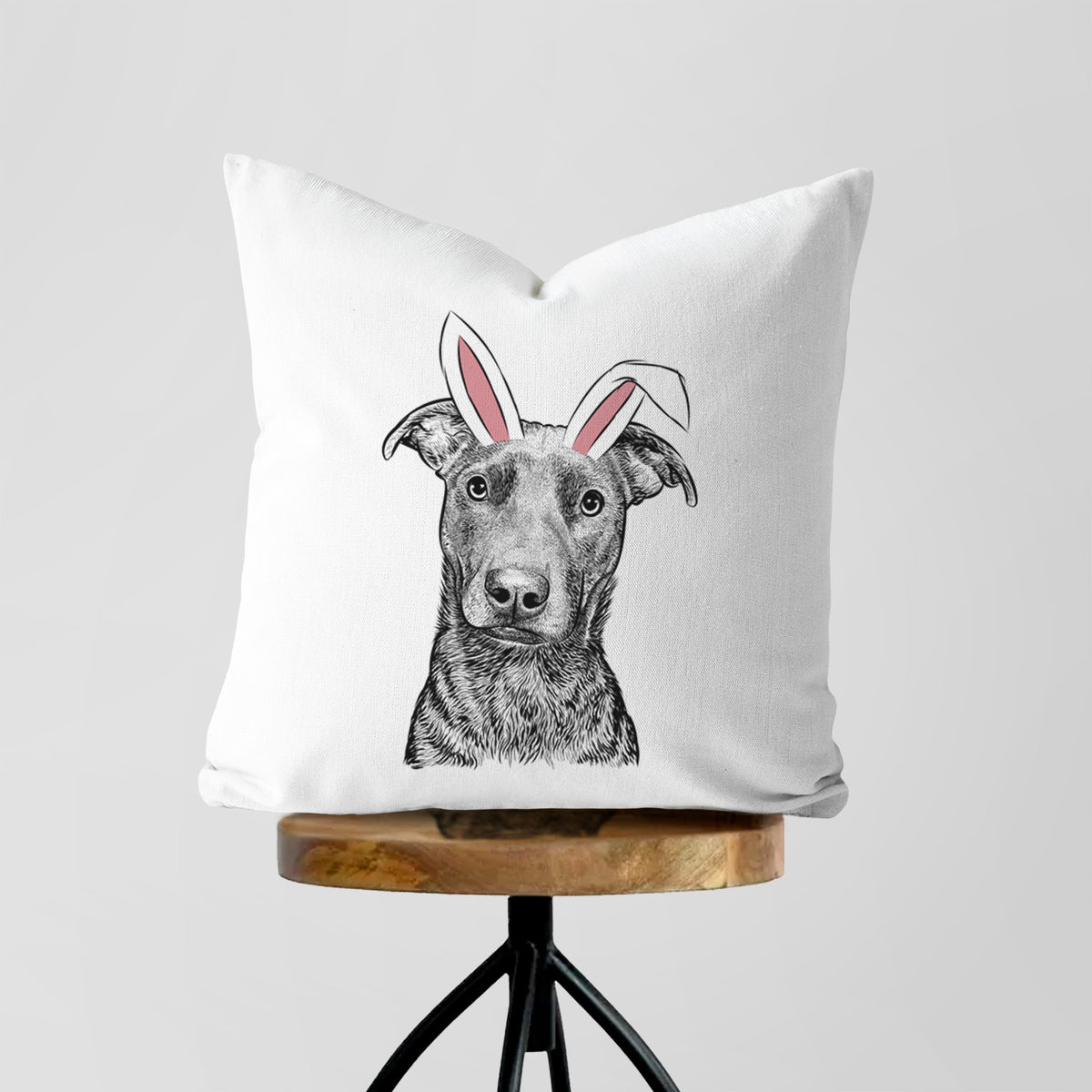 Embyr the Mixed Breed - Throw Pillow Cover