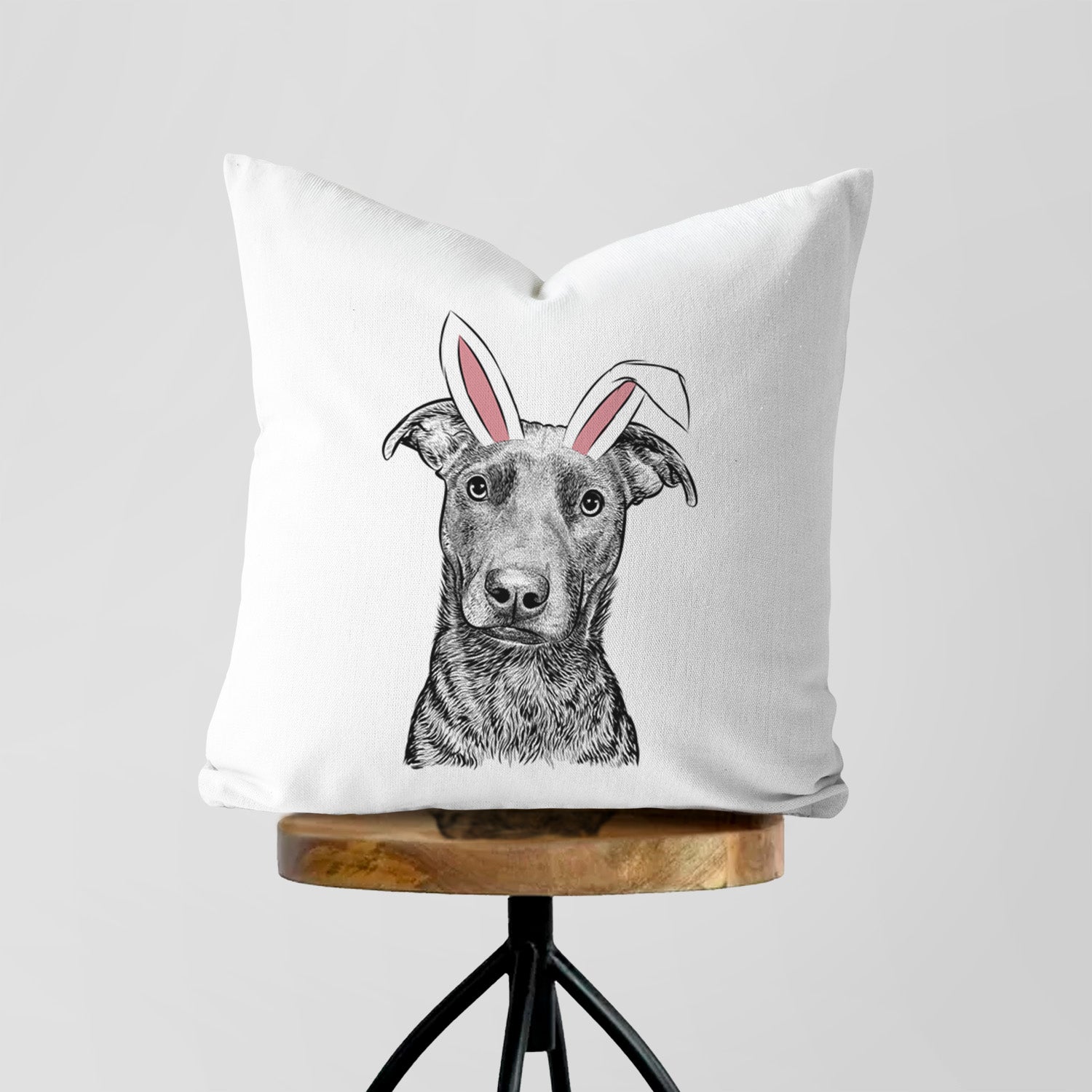 Embyr the Mixed Breed - Throw Pillow Cover