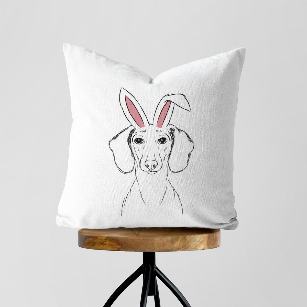 Hans the Dachshund - Throw Pillow Cover