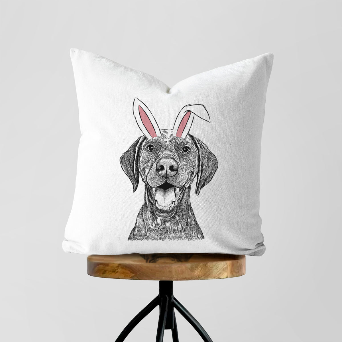Hudson the German Shorthaired Pointer - Throw Pillow Cover