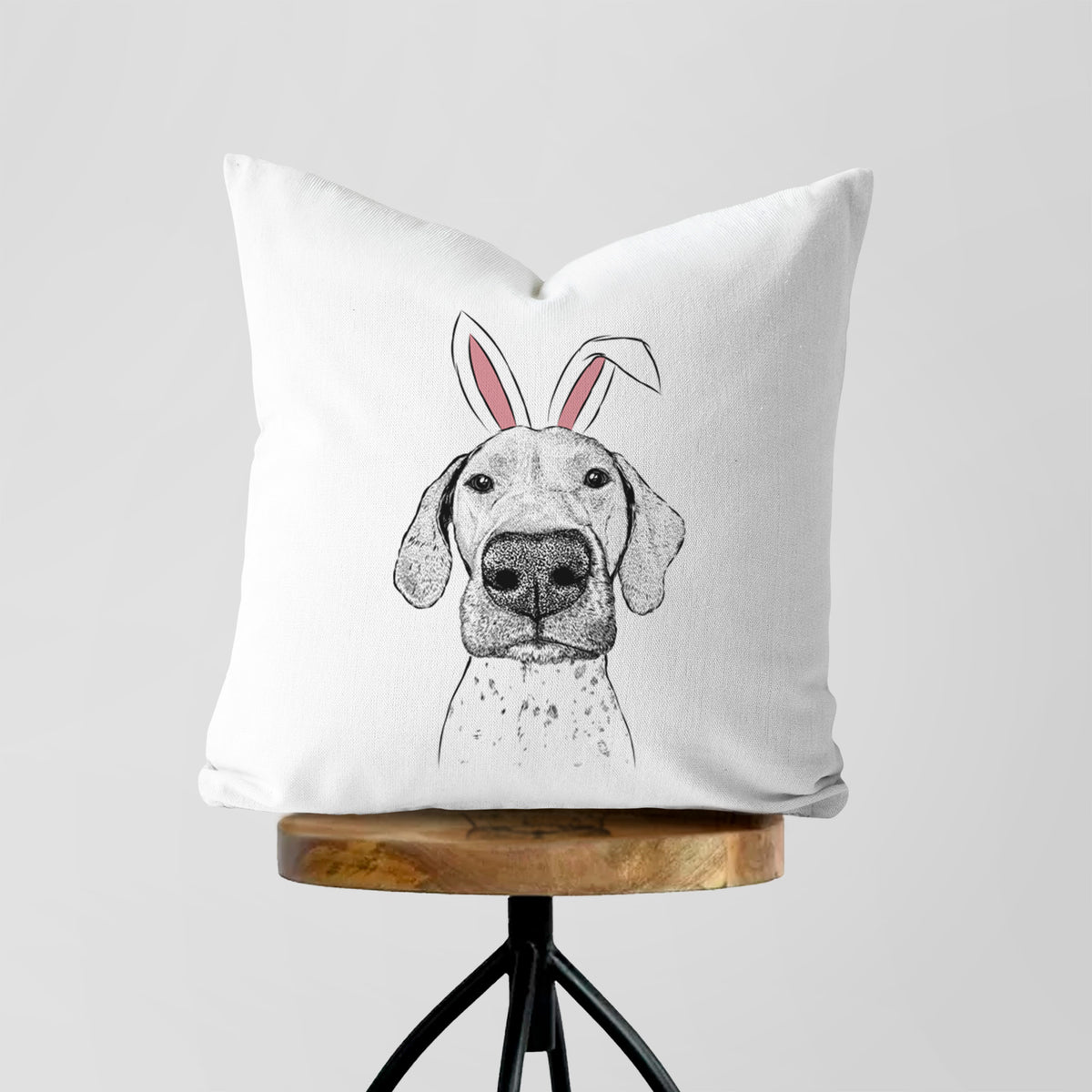 Leroy the German Shorthaired Pointer - Throw Pillow Cover