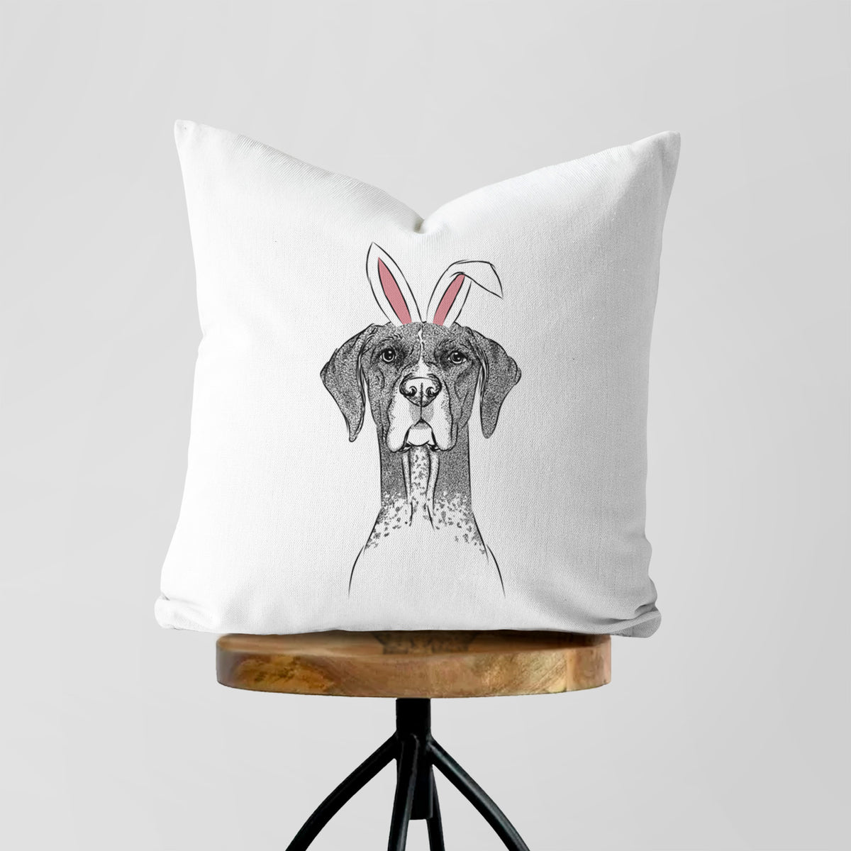 Mattis the German Shorthaired Pointer - Throw Pillow Cover