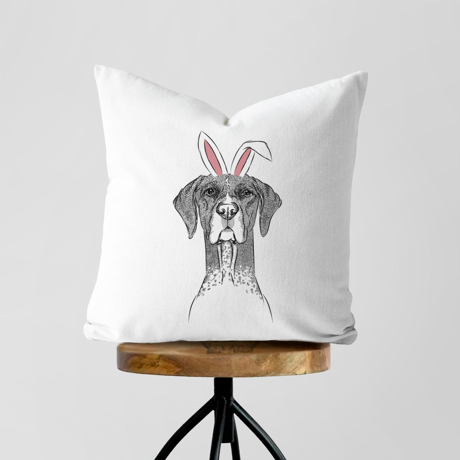 Mattis the German Shorthaired Pointer - Throw Pillow Cover