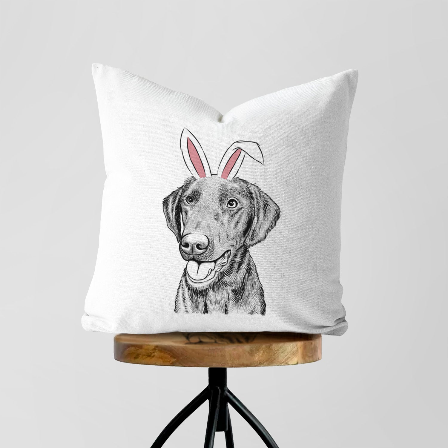 Onyx the Labrador Retriever - Throw Pillow Cover