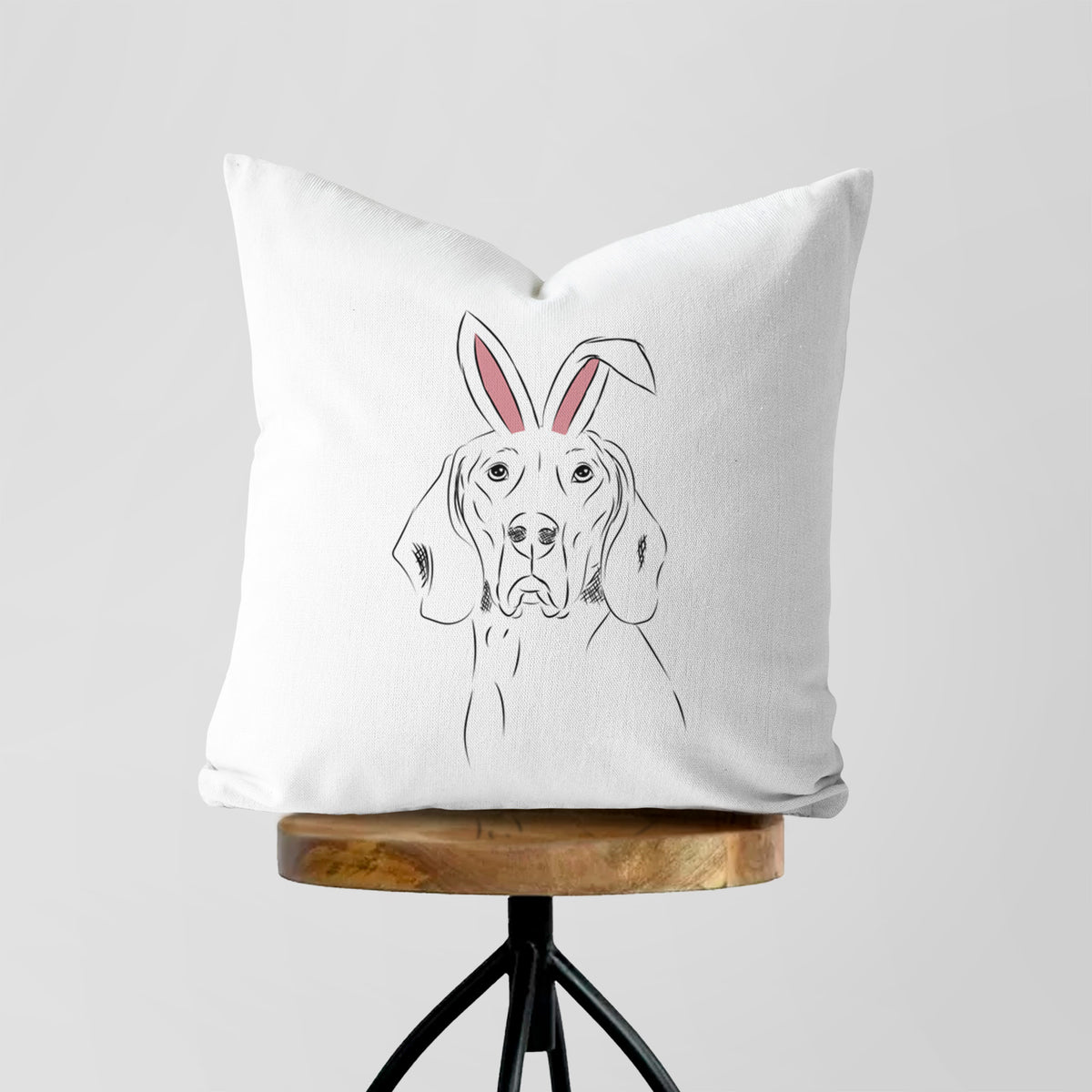 Sagan the Coonhound - Throw Pillow Cover