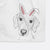 Stanley the Foxhound Decorative Hand Towel