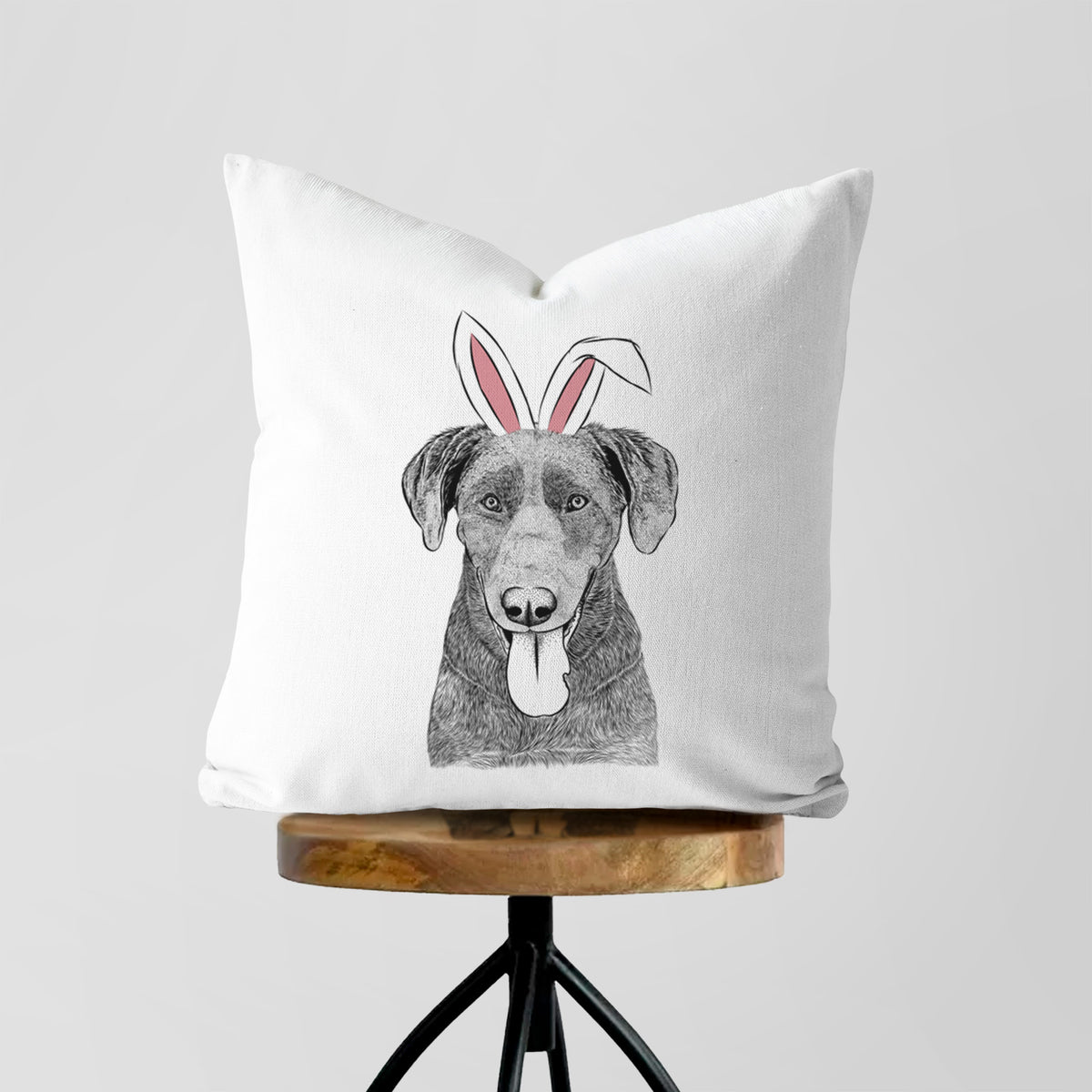 Tobes the Chocolate Lab - Throw Pillow Cover