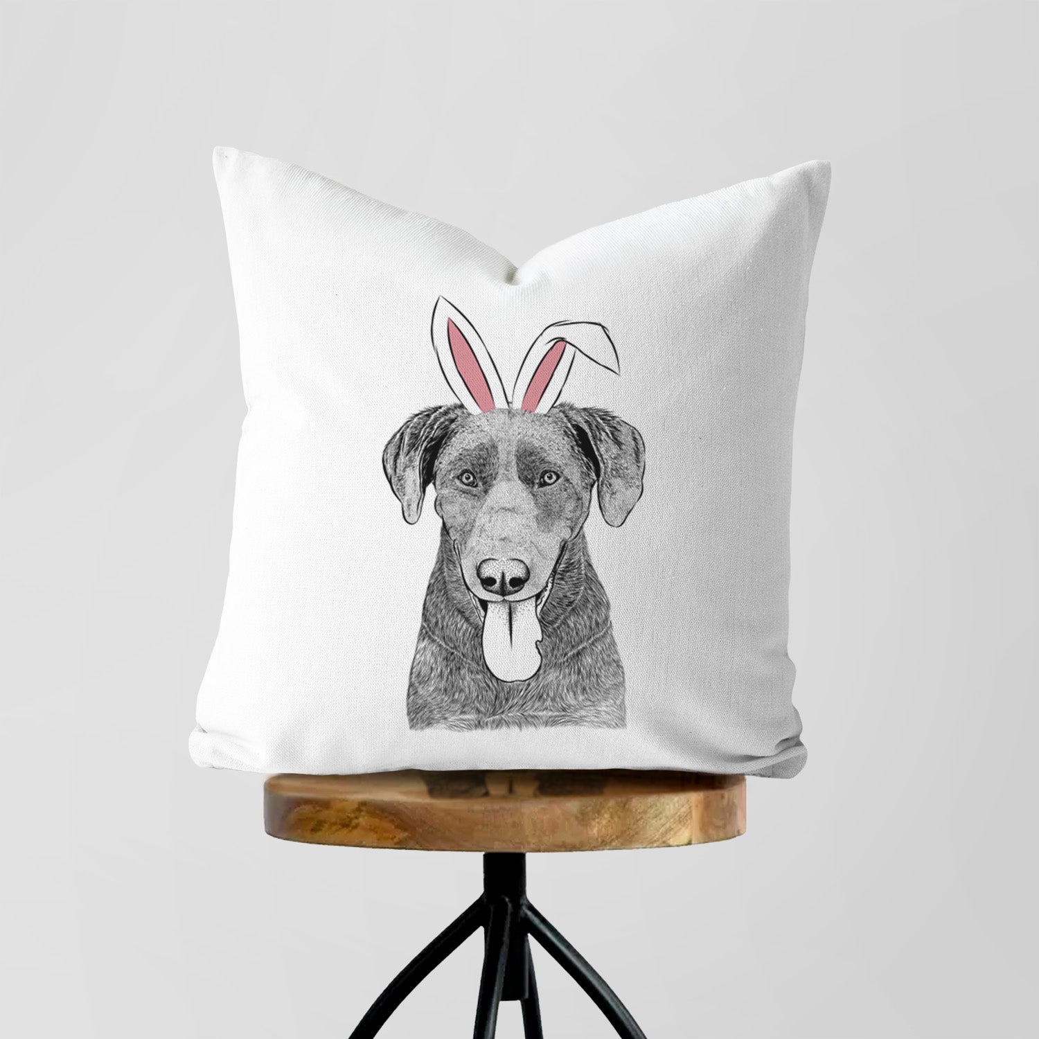 Tobes the Chocolate Lab - Throw Pillow Cover