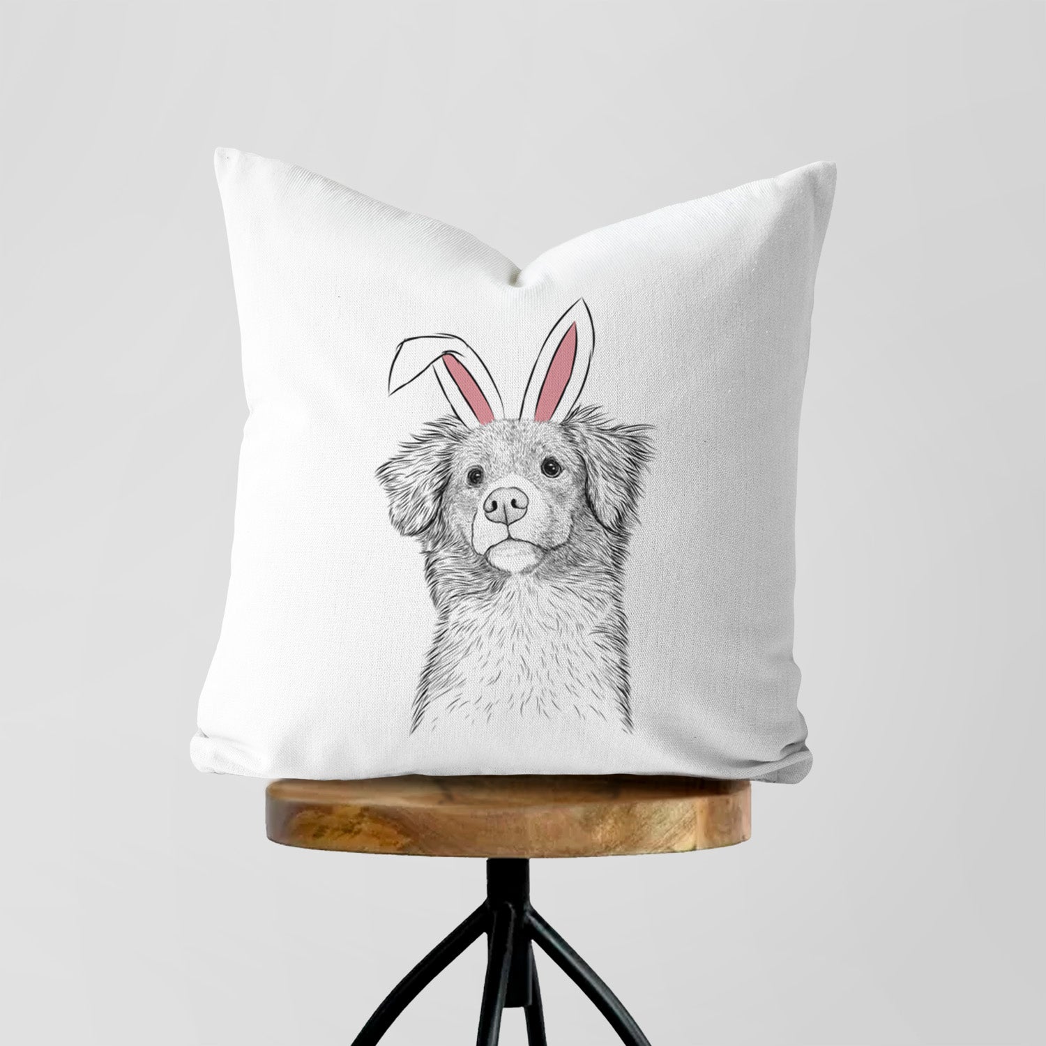 Vixen the Nova Scotia Duck Tolling Retriever - Throw Pillow Cover