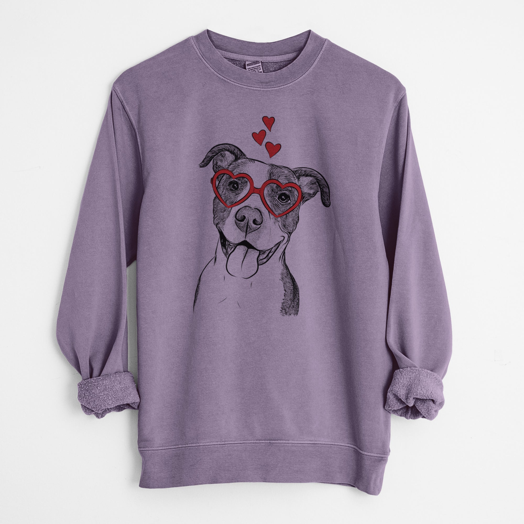 Valentine Jax the American Pitbull Terrier Mix - Unisex Pigment Dyed Crew Sweatshirt