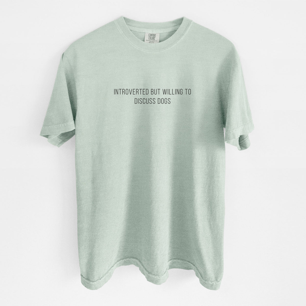 Introverted but Willing to Discuss Dogs - Unisex Comfort Colors Garment-Dyed Heavyweight T-shirt in Bay