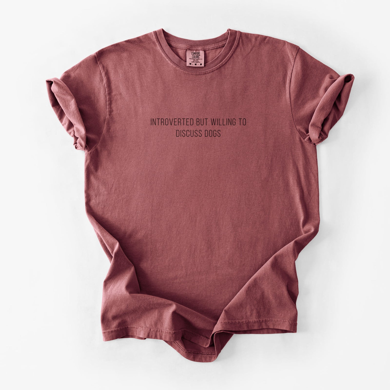Introverted but Willing to Discuss Dogs - Unisex Comfort Colors Garment-Dyed Heavyweight T-shirt in Brick