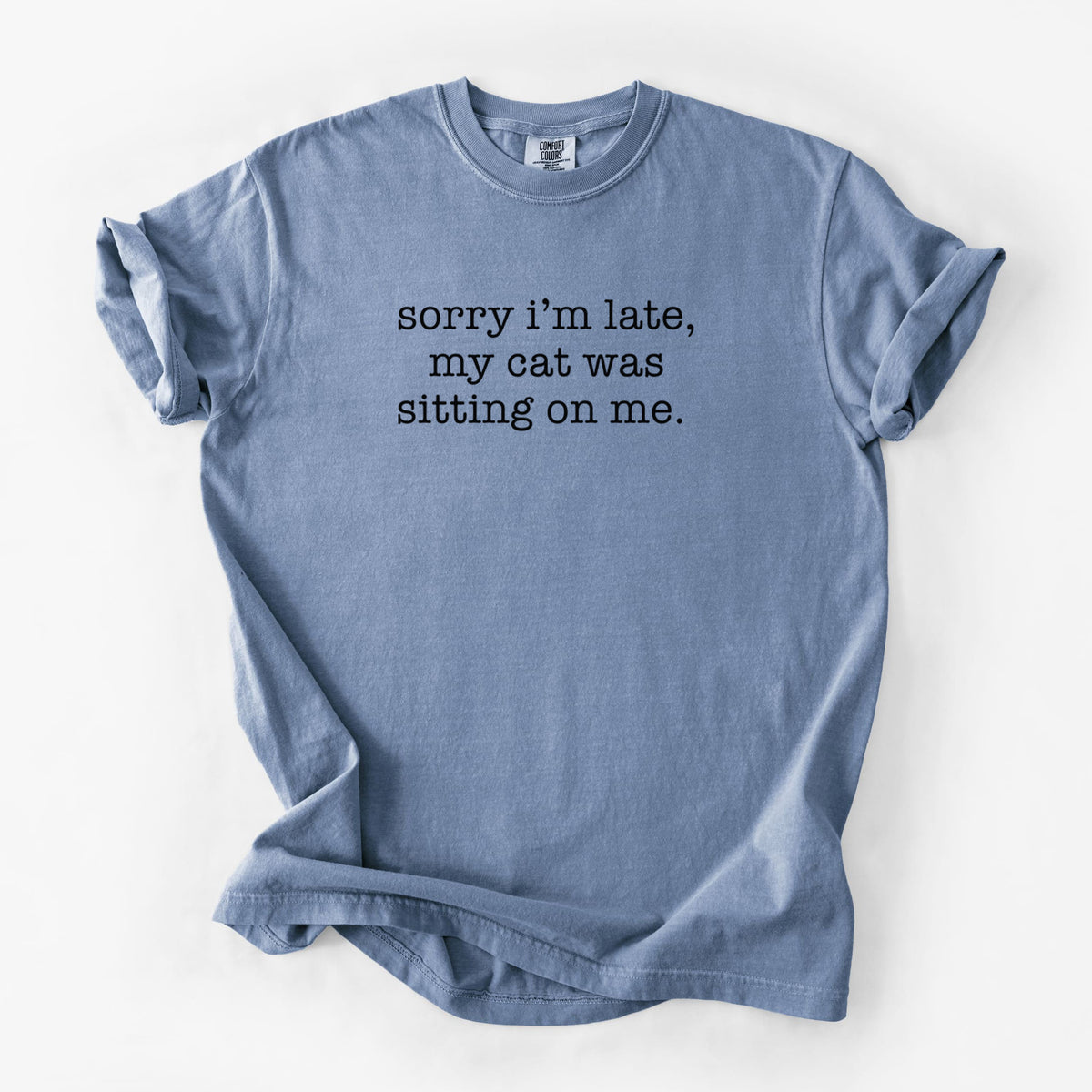 Sorry I'm Late, My Cat Was Sitting On Me. - Unisex Comfort Colors Garment-Dyed Heavyweight T-shirt in Blue Jean