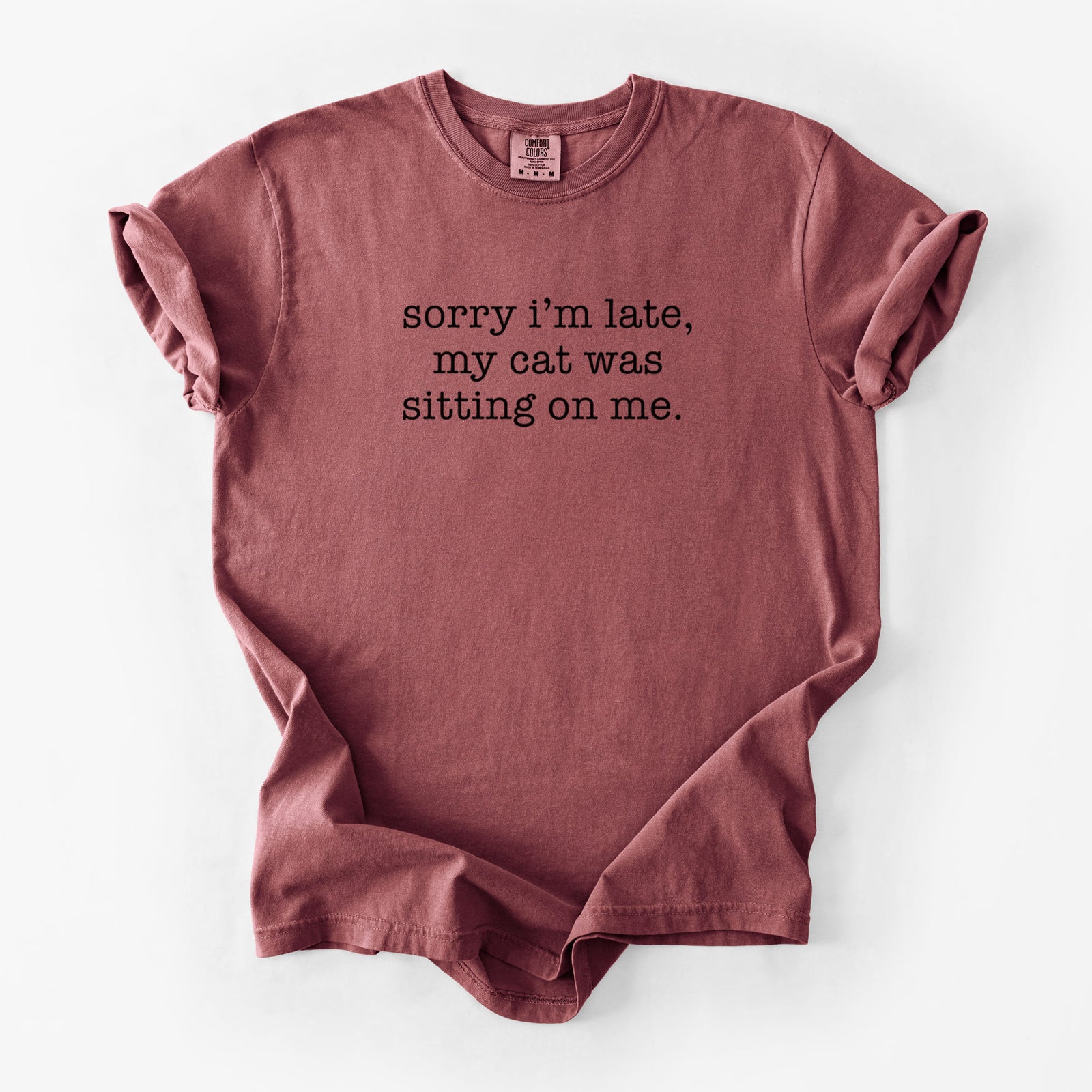Sorry I'm Late, My Cat Was Sitting On Me. - Unisex Comfort Colors Garment-Dyed Heavyweight T-shirt in Brick