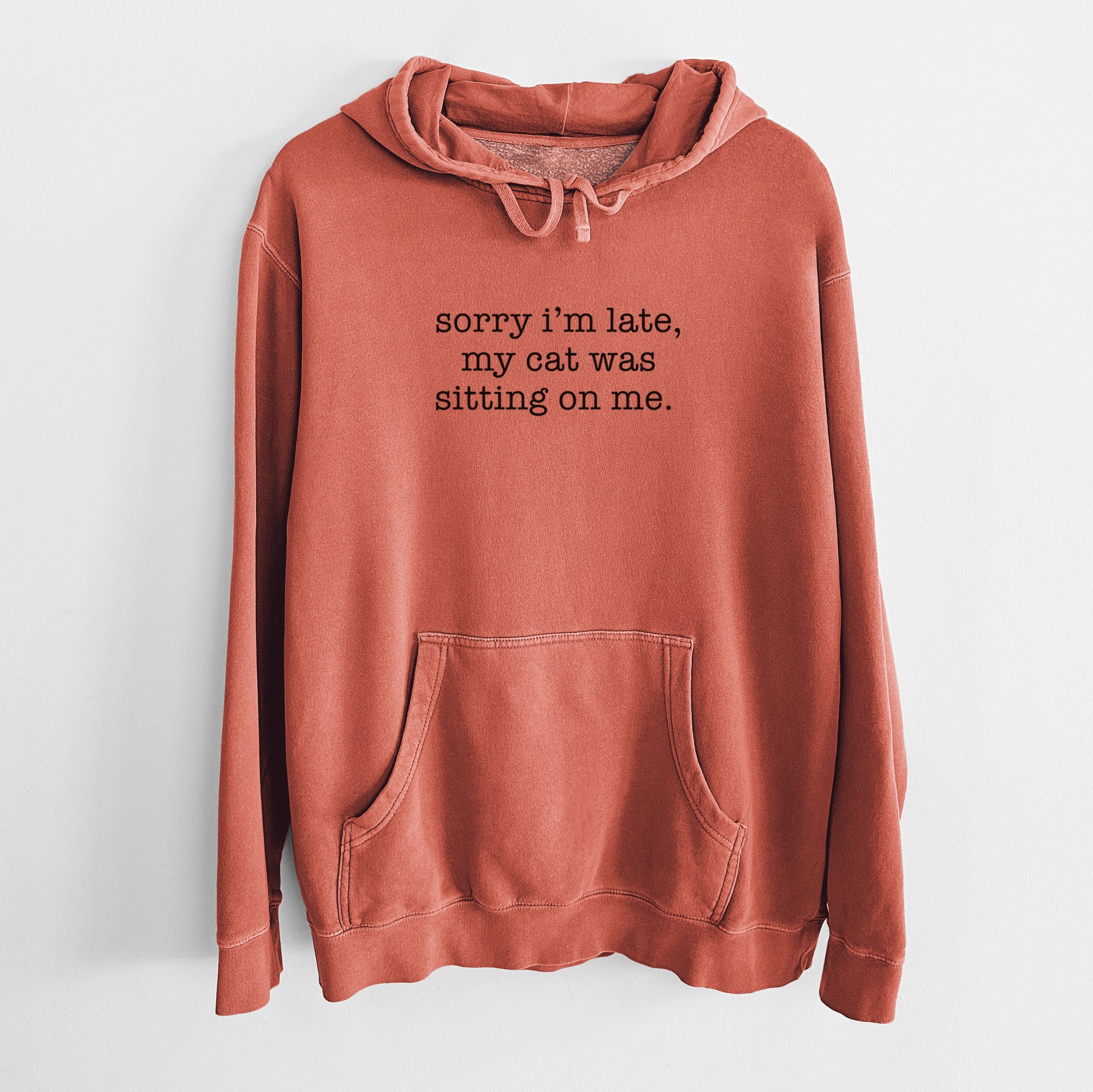 Sorry I'm Late, My Cat Was Sitting On Me. - Unisex Pigment Dyed Hoodie