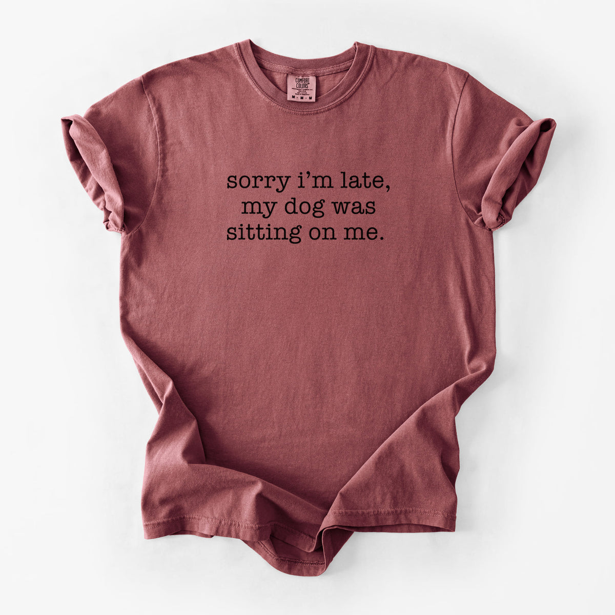 Sorry I'm Late, My Dog Was Sitting On Me. - Unisex Comfort Colors Garment-Dyed Heavyweight T-shirt in Brick