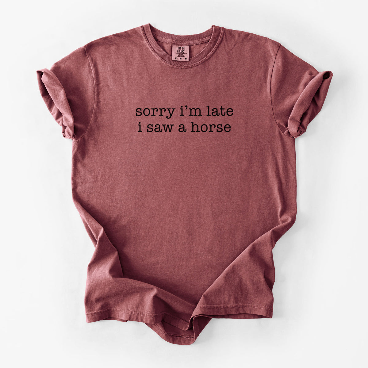 Sorry I'm Late I Saw a Horse - Unisex Comfort Colors Garment-Dyed Heavyweight T-shirt in Brick