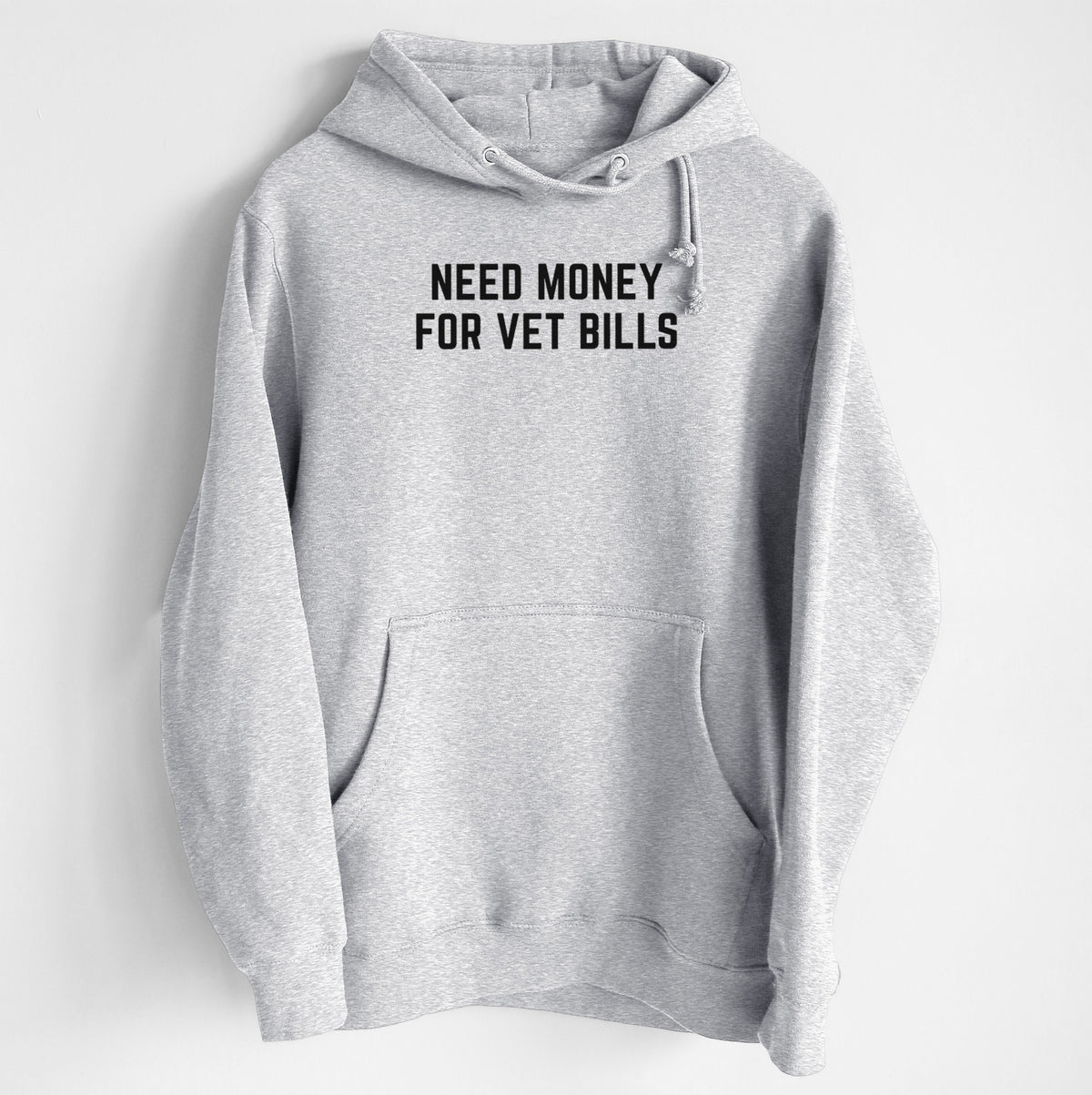 Need Money for Vet Bills - Heavyweight Fleece Hoodie