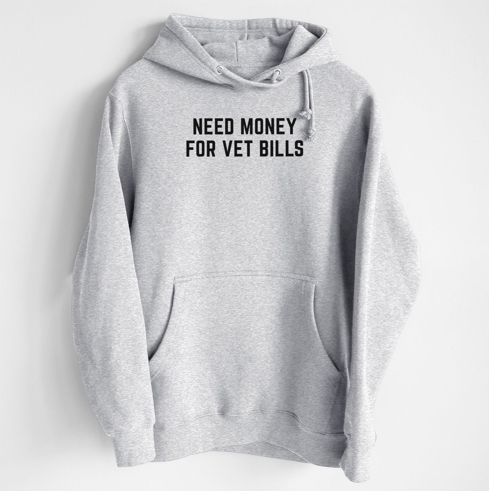 Need Money for Vet Bills - Heavyweight Fleece Hoodie
