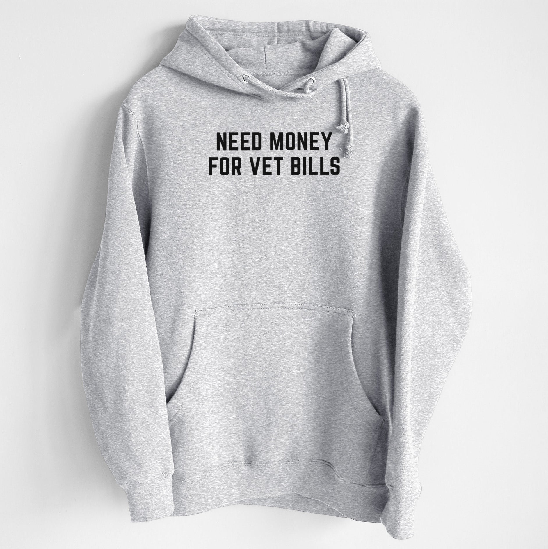 Need Money for Vet Bills - Heavyweight Fleece Hoodie
