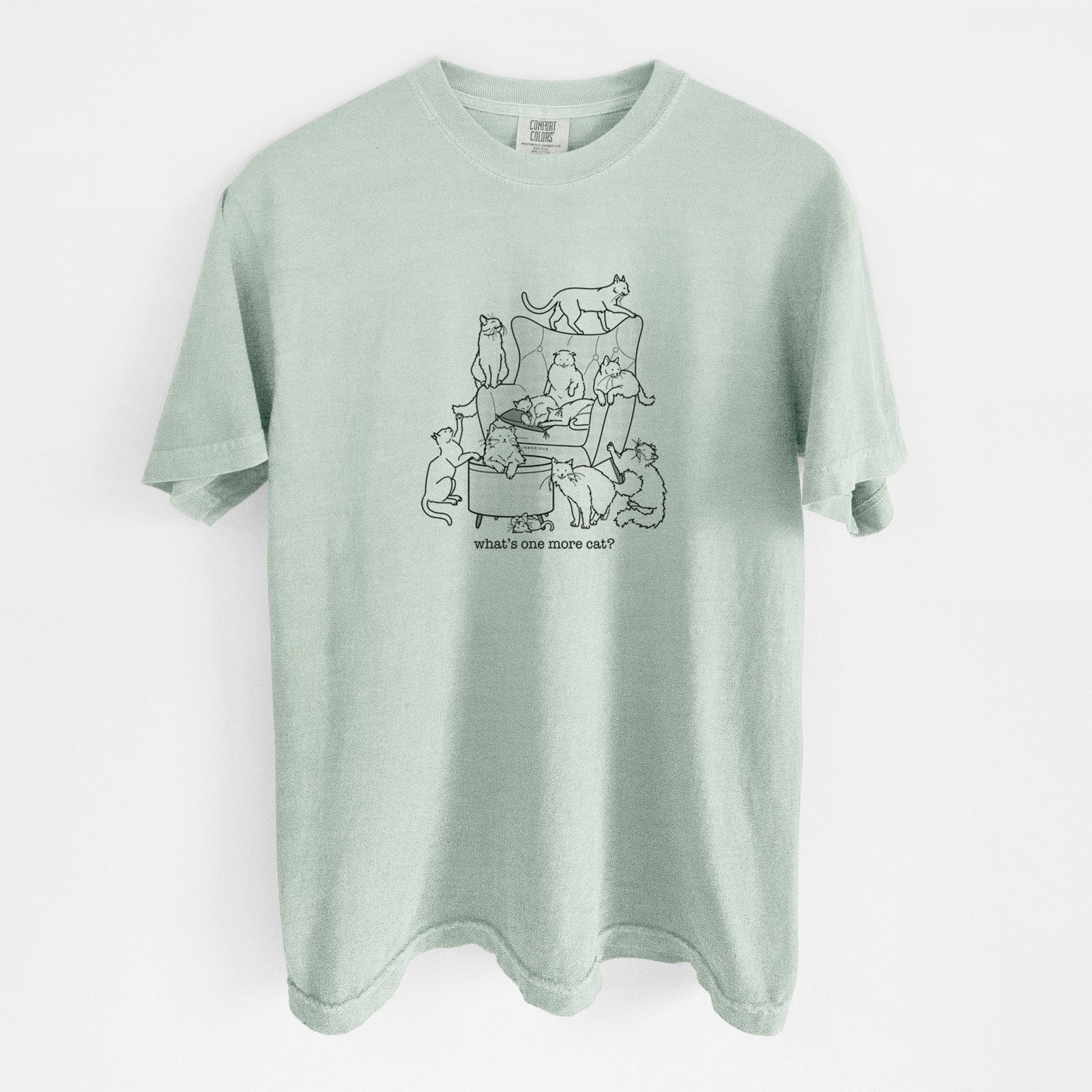 What's One More Cat? - Unisex Comfort Colors Garment-Dyed Heavyweight T-shirt in Bay