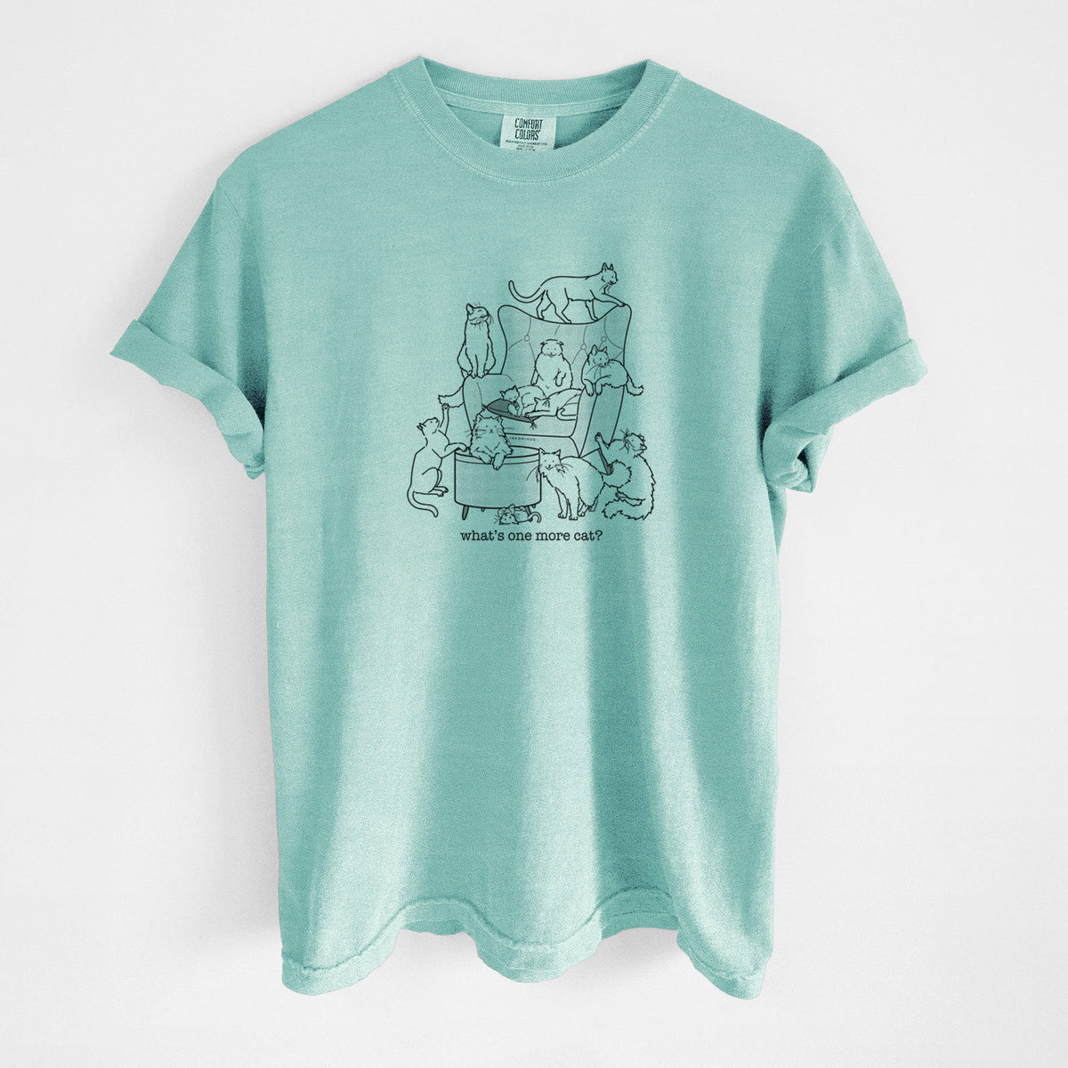 What's One More Cat? - Unisex Comfort Colors Garment-Dyed Heavyweight T-shirt in Chalky Mint