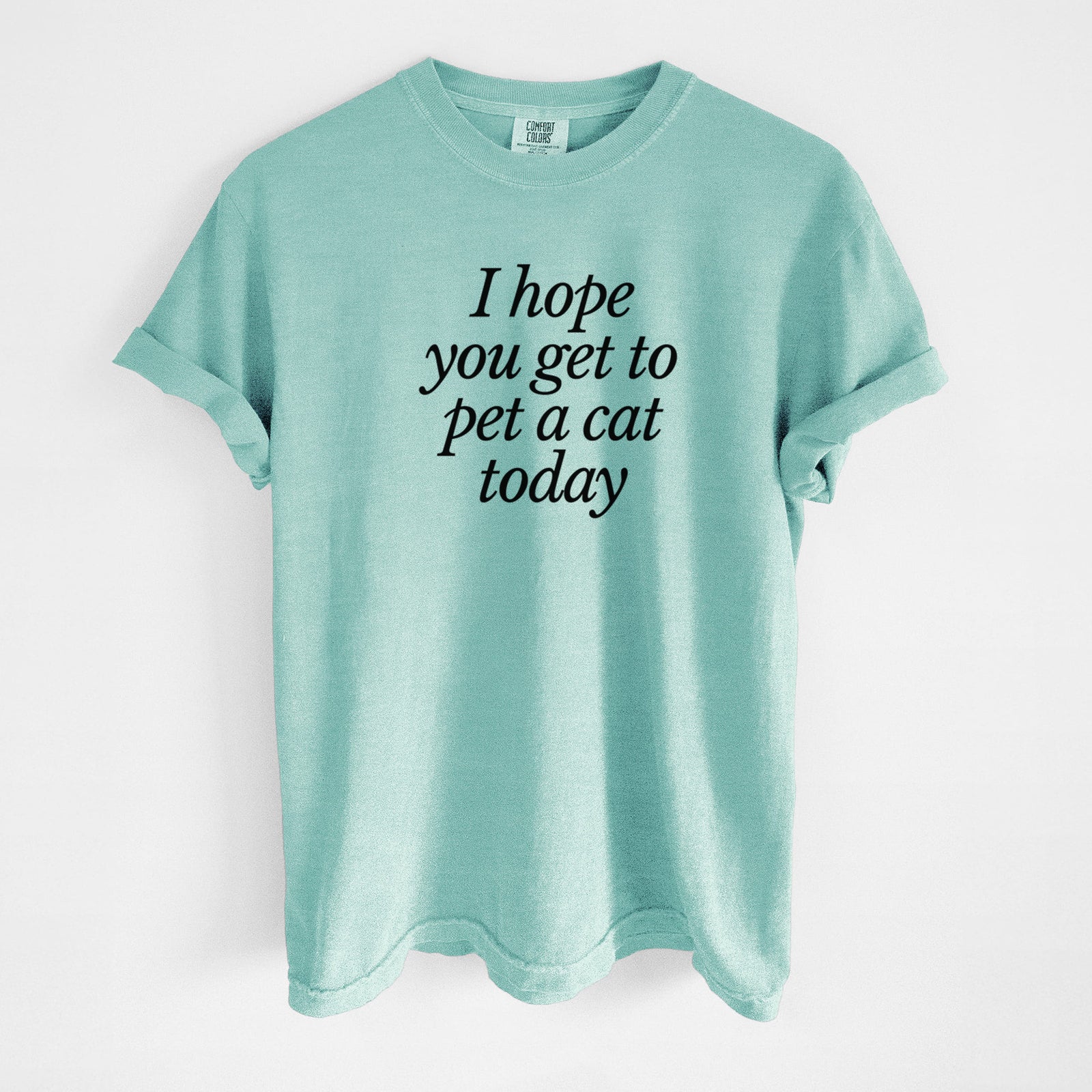 I hope you get to pet a cat today - Unisex Comfort Colors Garment-Dyed Heavyweight T-shirt in Chalky Mint