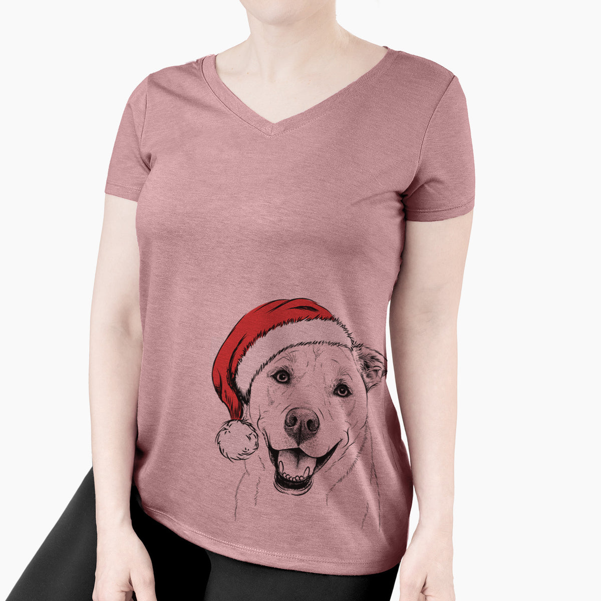 Santa Carl the Mixed Breed - Women's Perfect V-neck Shirt