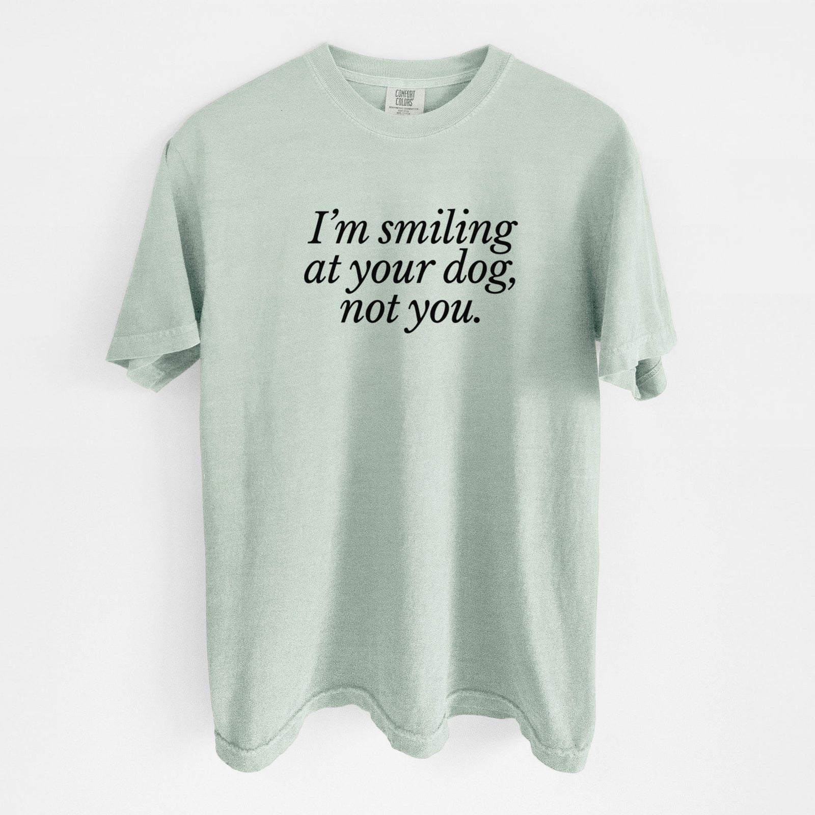 I’m smiling at your dog, not you - Unisex Comfort Colors Garment-Dyed Heavyweight T-shirt in Bay