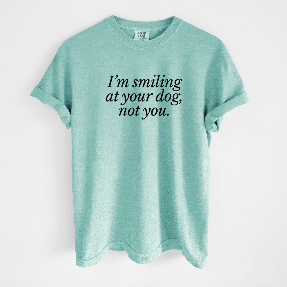 I’m smiling at your dog, not you - Unisex Comfort Colors Garment-Dyed Heavyweight T-shirt in Chalky Mint