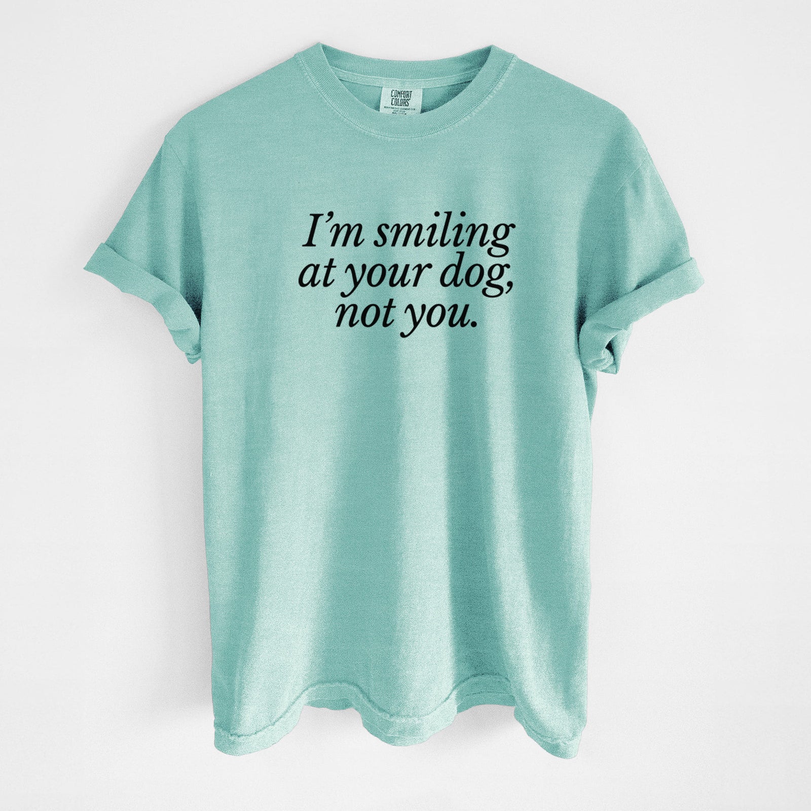 I’m smiling at your dog, not you - Unisex Comfort Colors Garment-Dyed Heavyweight T-shirt in Chalky Mint