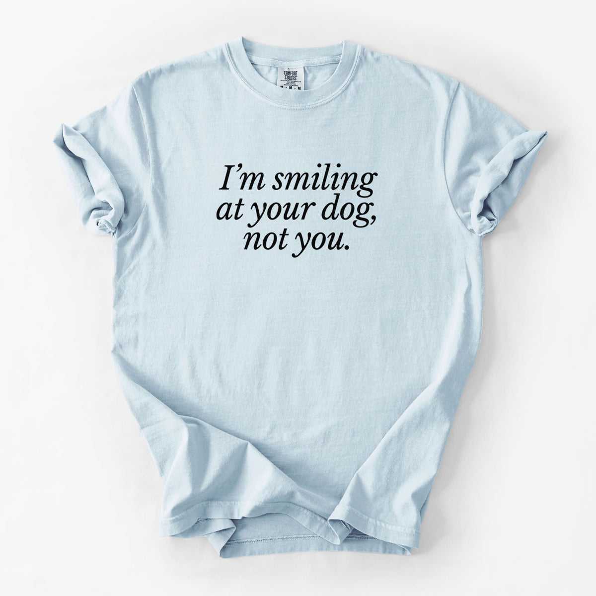 I’m smiling at your dog, not you - Unisex Comfort Colors Garment-Dyed Heavyweight T-shirt in Chambray