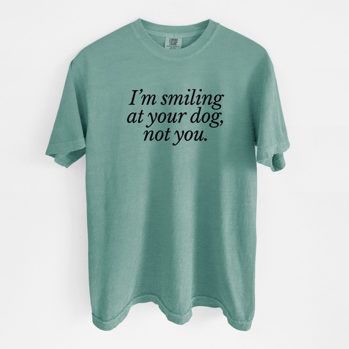 I’m smiling at your dog, not you - Unisex Comfort Colors Garment-Dyed Heavyweight T-shirt in Reef Green