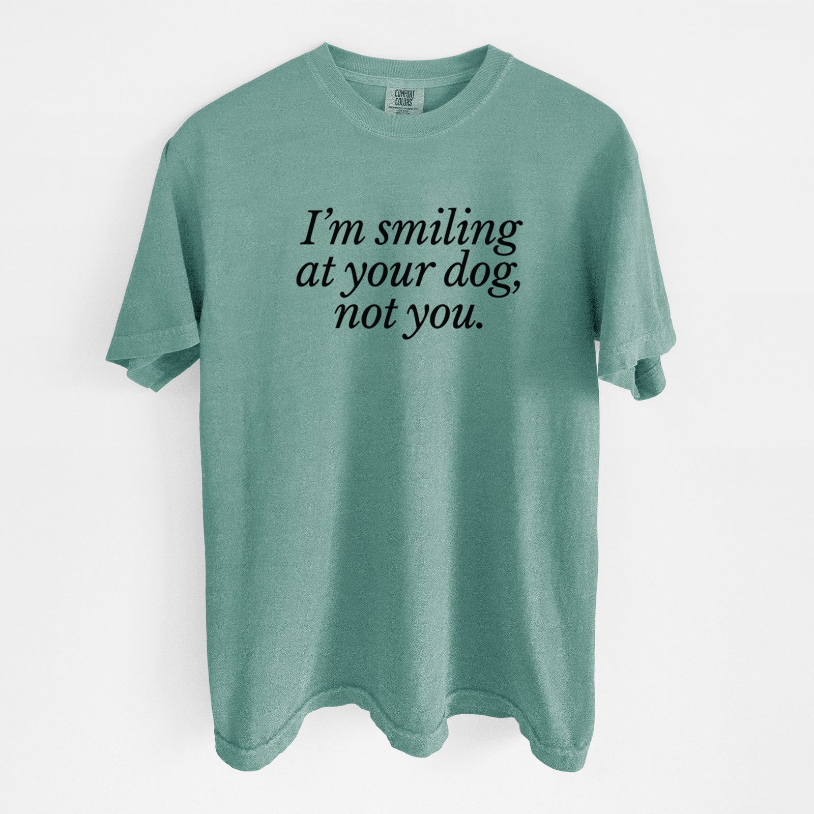 I’m smiling at your dog, not you - Unisex Comfort Colors Garment-Dyed Heavyweight T-shirt in Reef Green