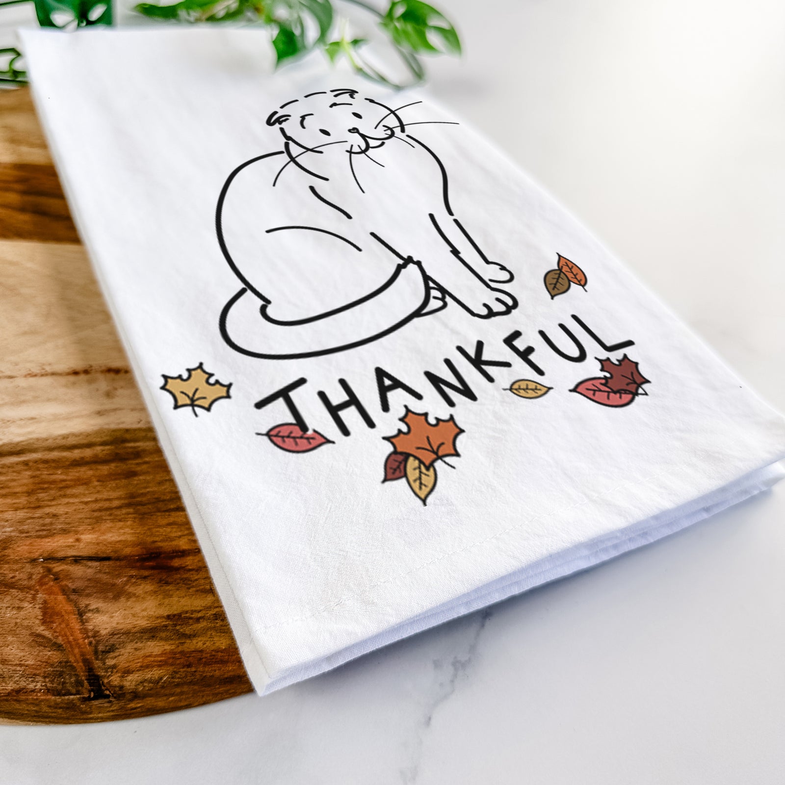 Thankful Scottish Fold Cat - Hank - Tea Towel