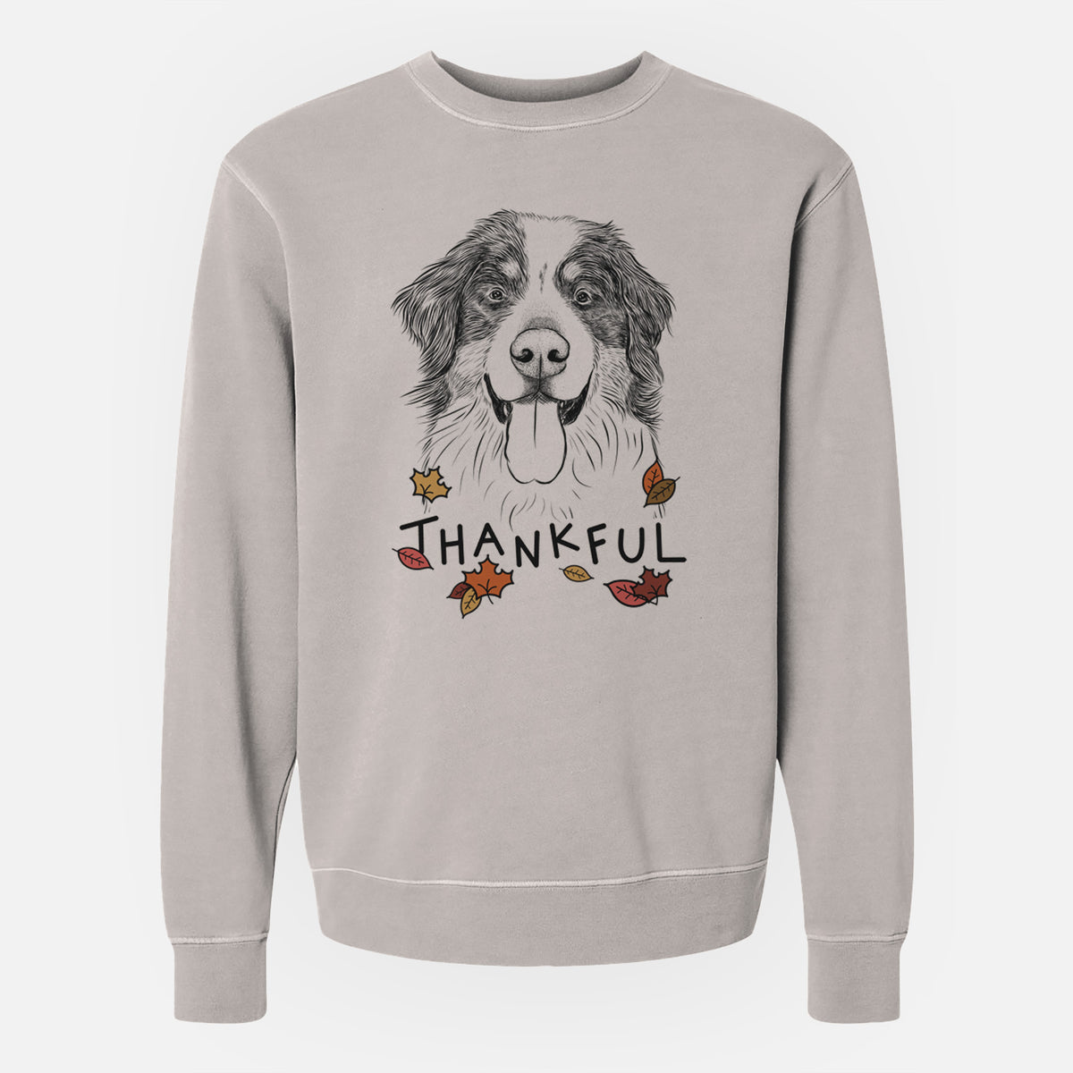 Thankful Blaze the Bernese Mountain Dog - Unisex Pigment Dyed Crew Sweatshirt