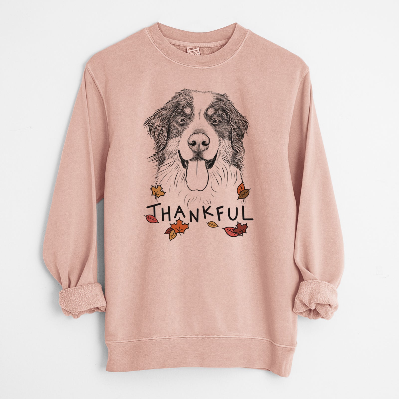 Thankful Blaze the Bernese Mountain Dog - Unisex Pigment Dyed Crew Sweatshirt