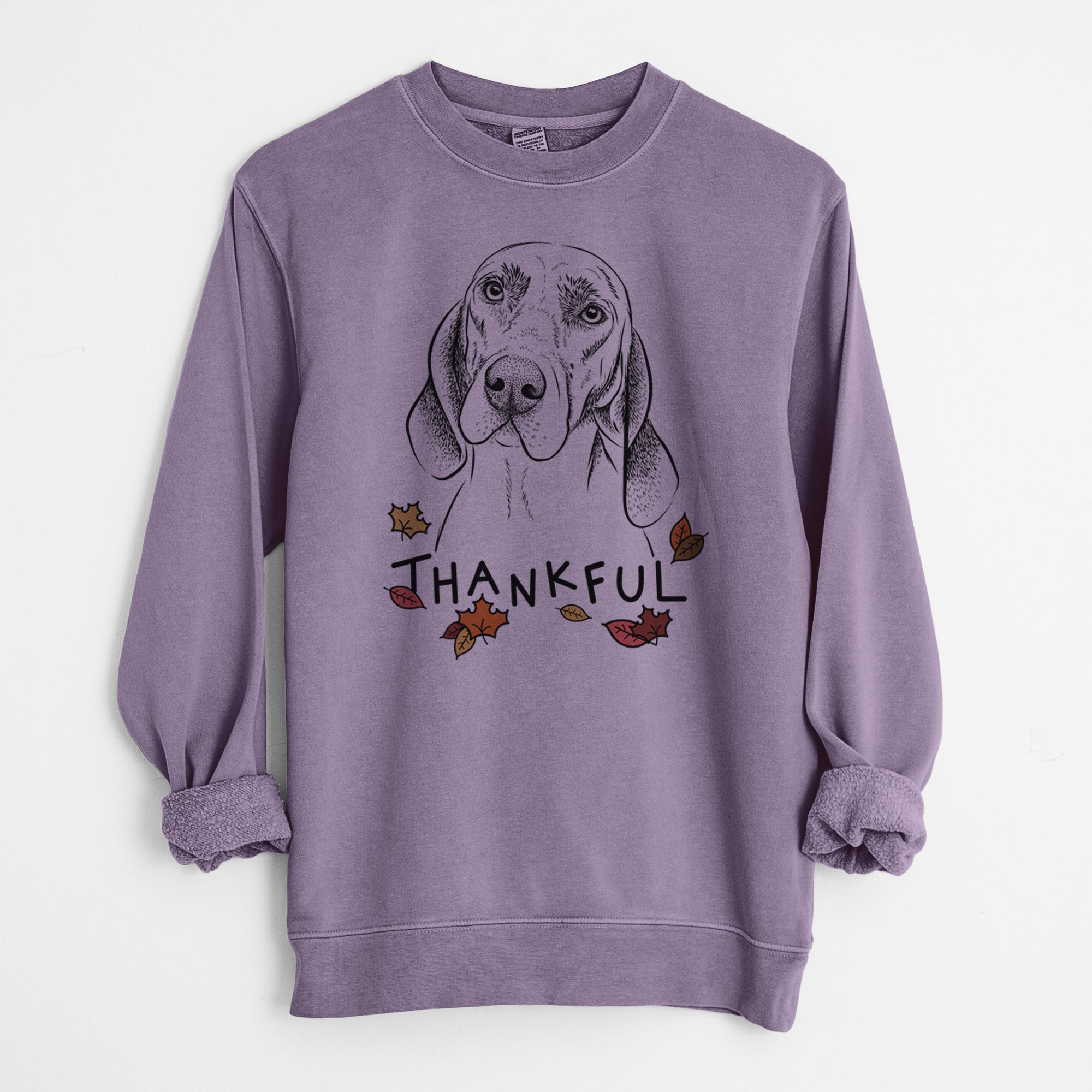 Thankful Norman the Plott Hound - Unisex Pigment Dyed Crew Sweatshirt